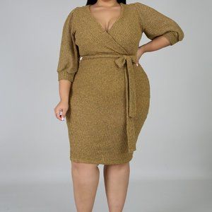 NWT Plus V-neck  dress